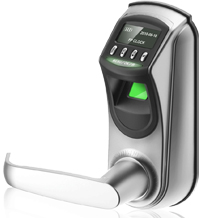 �������������� �����